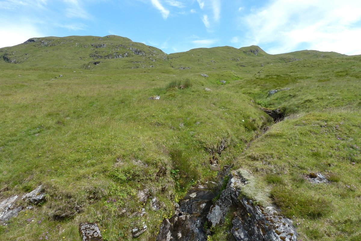 照片 英国(United Kingdom) 特罗萨克斯(The Trossachs) 2011-07 50