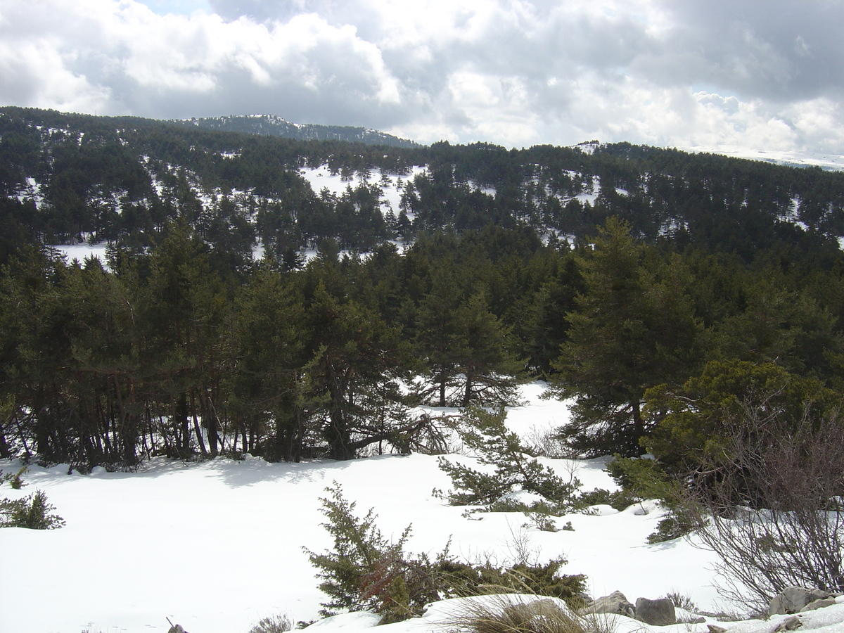 照片 法国(France) 格雷奥利耶(Greolieres) 2006-02 46