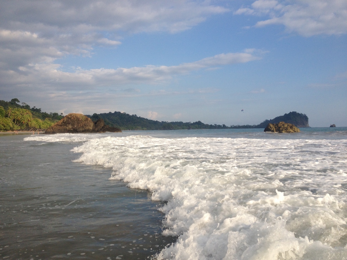 照片 哥斯达黎加(Costa Rica) 曼努埃尔安东尼奥(Manuel Antonio) 2015-03 24