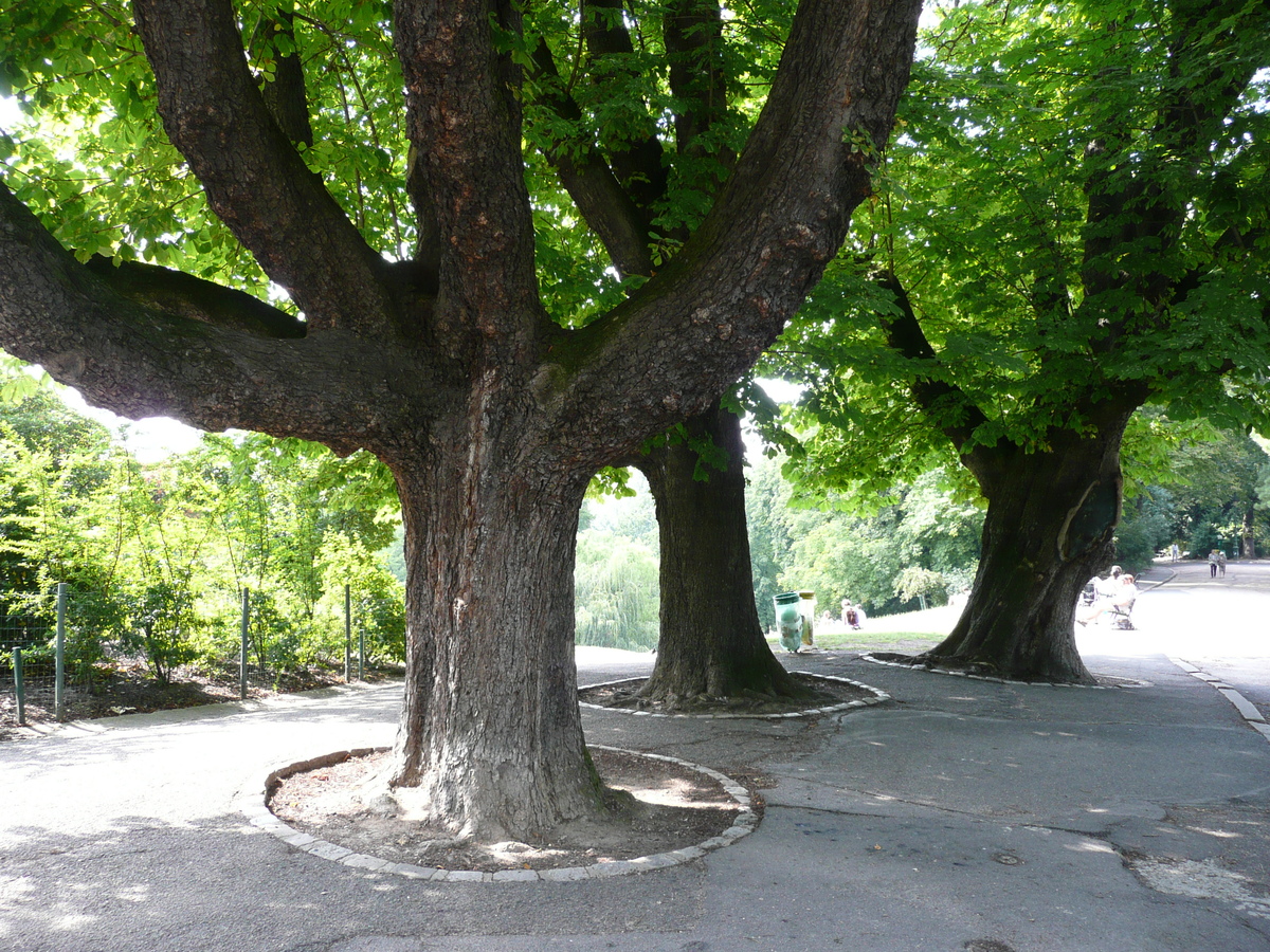 照片 法国(France) 巴黎(Paris) 肖蒙山丘公园(Parc des Buttes Chaumont) 2007-08 212
