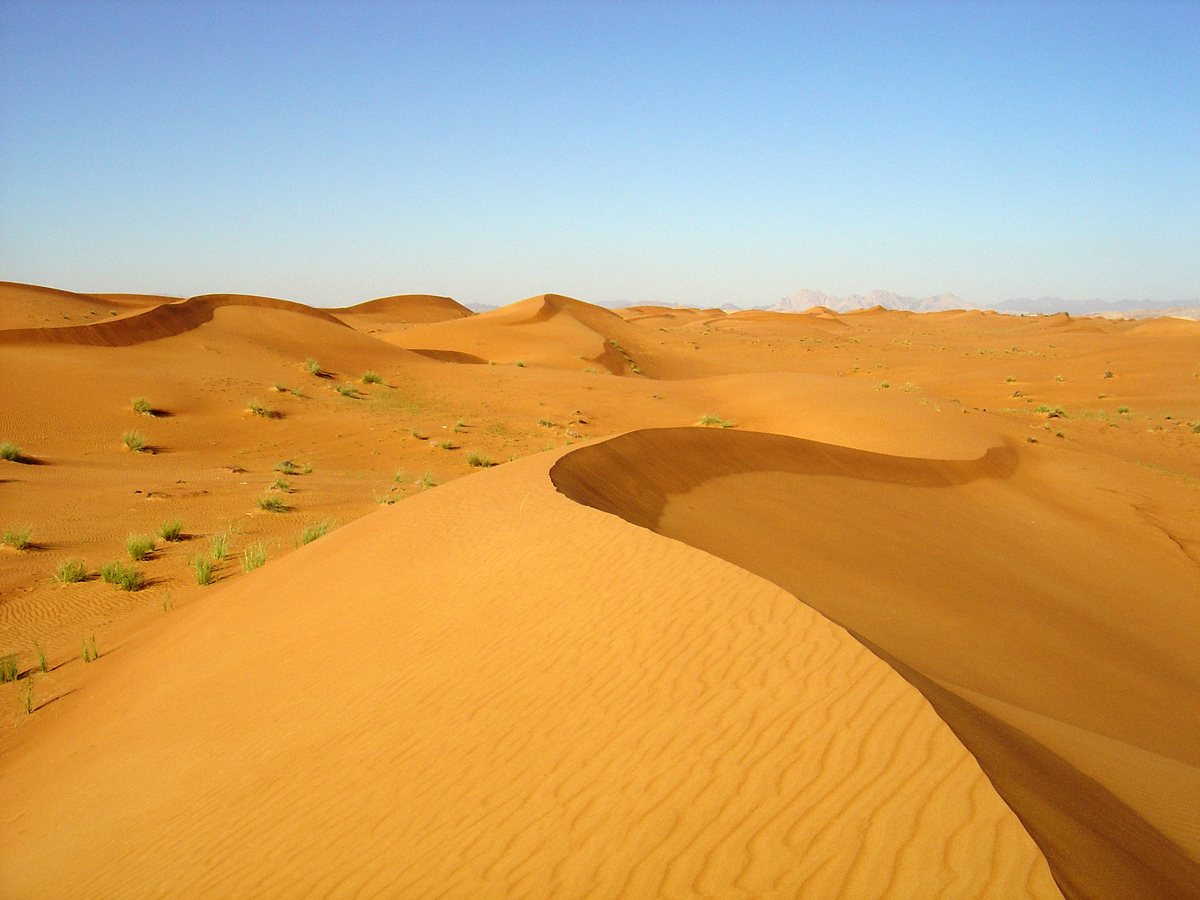 照片 阿联酋(United Arab Emirates) 迪拜至艾因公路(Dubai to Al Ain road) 2005-03 4