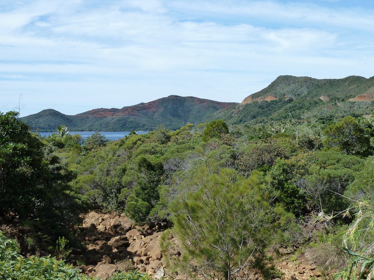 照片 新喀里多尼亚(New Caledonia) 蒂奥(Thio) 2010-05 24