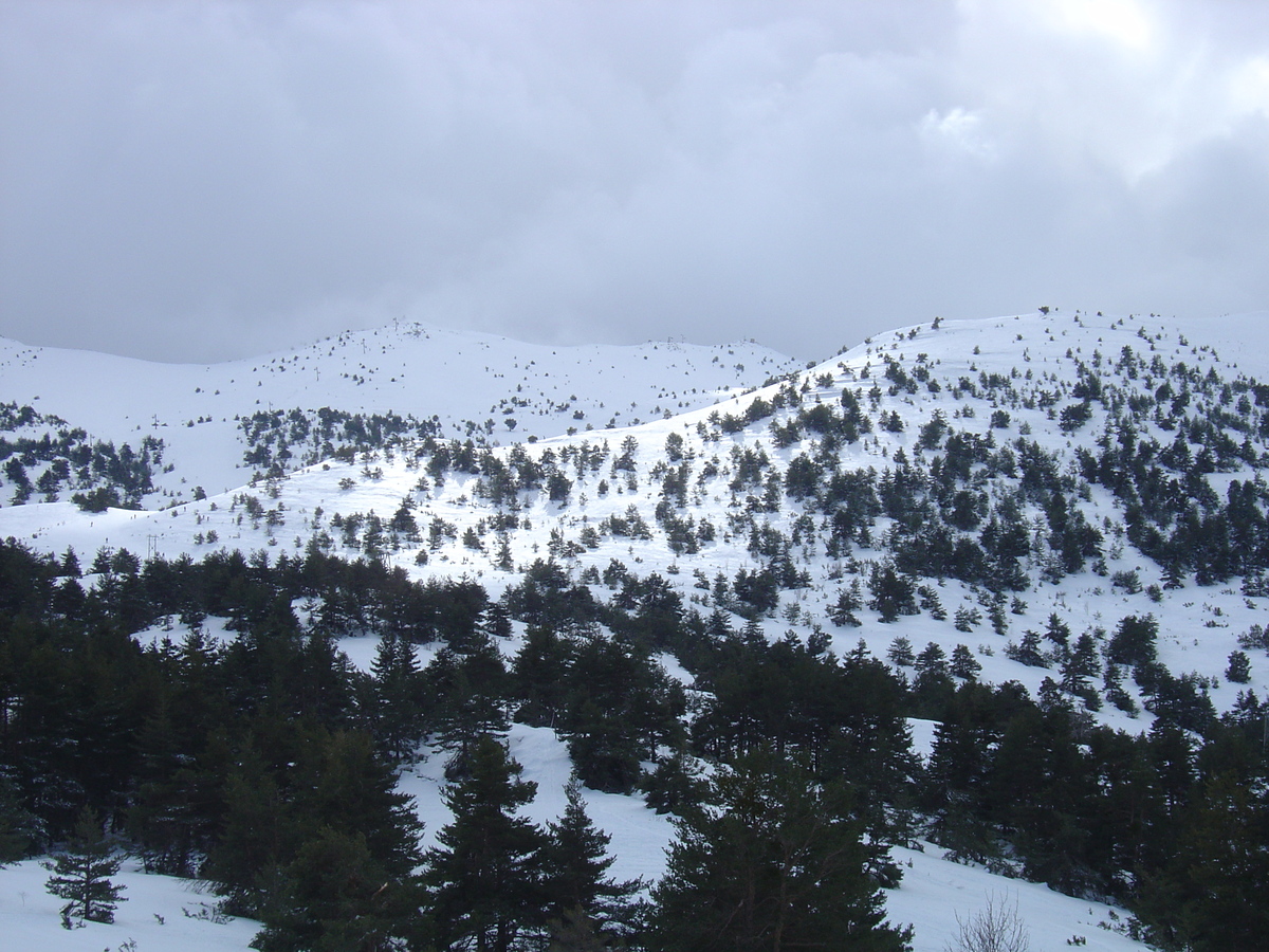照片 法国(France) 格雷奥利耶(Greolieres) 2006-02 33