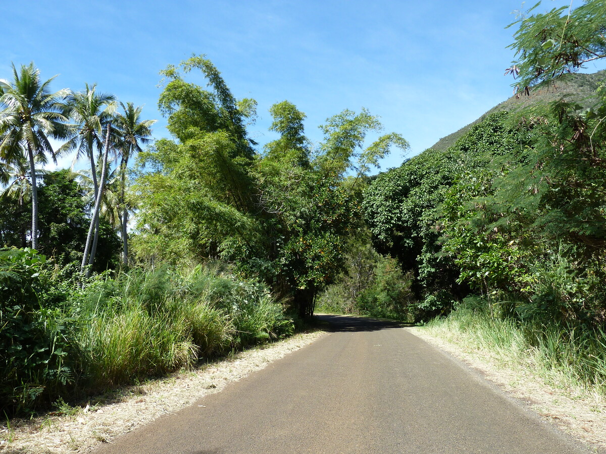 照片 新喀里多尼亚(New Caledonia) 蒂奥(Thio) 2010-05 16