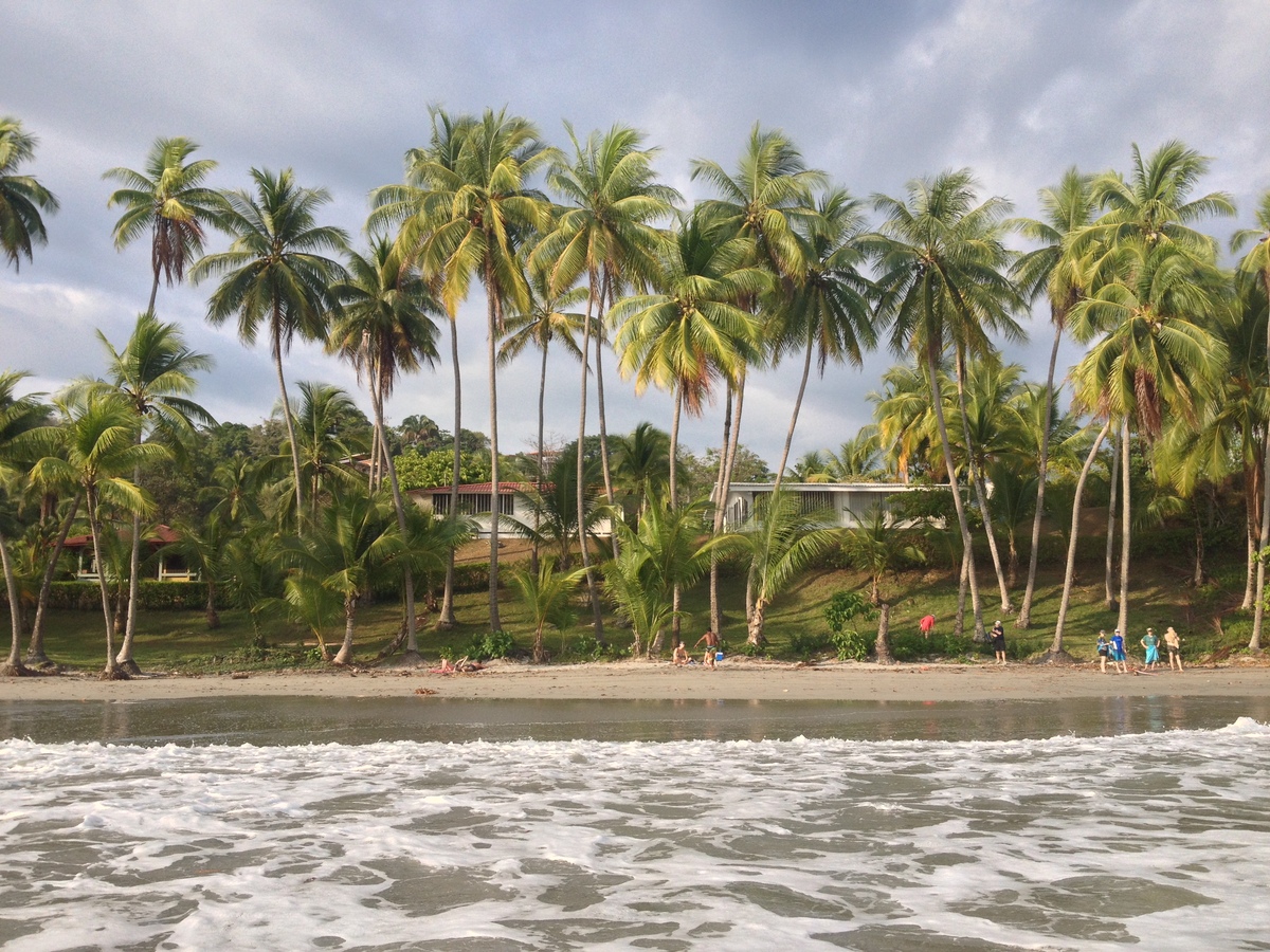 照片 哥斯达黎加(Costa Rica) 曼努埃尔安东尼奥(Manuel Antonio) 2015-03 9