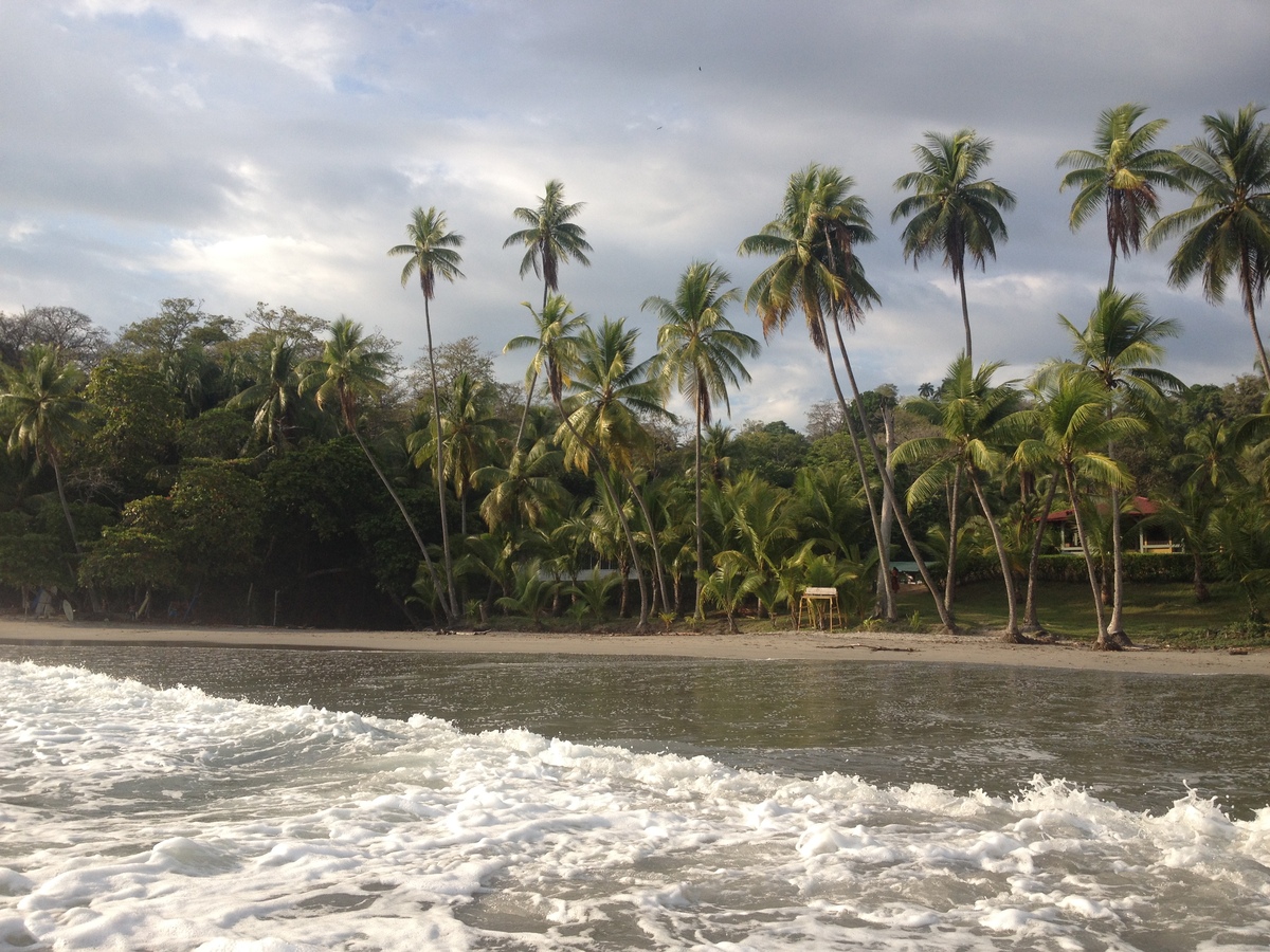 照片 哥斯达黎加(Costa Rica) 曼努埃尔安东尼奥(Manuel Antonio) 2015-03 97
