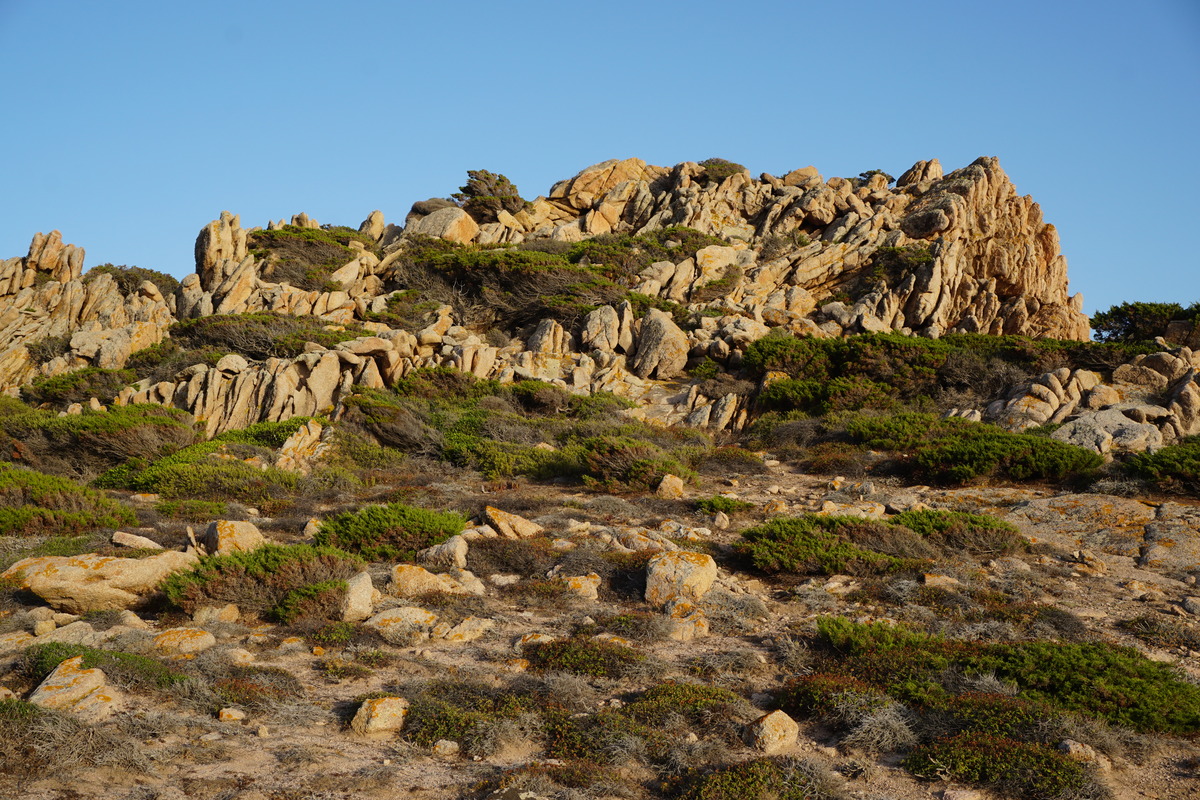 照片 法国(France) 科西嘉岛(Corsica) 通纳拉海滩(Tonnara Beach) 2017-07 4