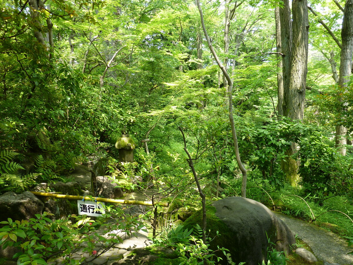 照片 日本(Japan) 东京(Tokyo) 根津美术馆(Nezu Museum) 2010-06 79