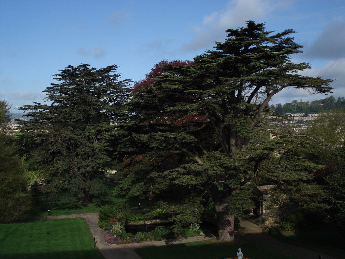 照片 英国(United Kingdom) 巴斯(Bath) 麦克唐纳水疗酒店(MacDonald Spa Hotel) 2006-05 69