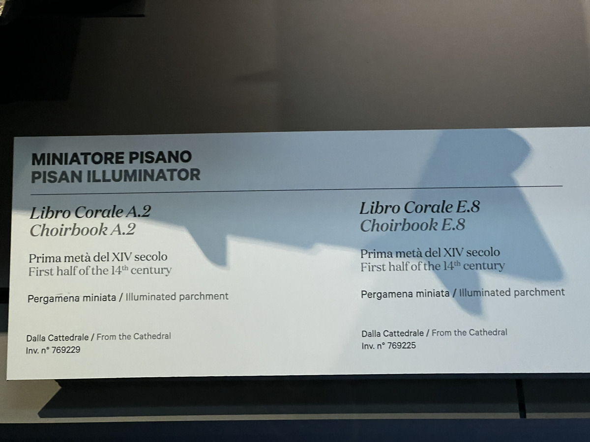 照片 意大利(Italy) 比萨(Pisa) 2022-05 124