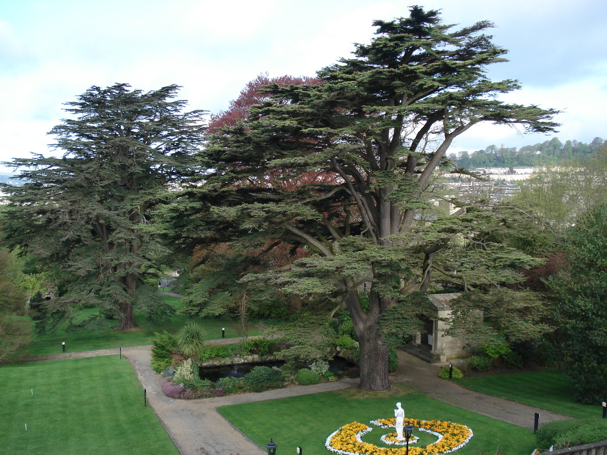 照片 英国(United Kingdom) 巴斯(Bath) 麦克唐纳水疗酒店(MacDonald Spa Hotel) 2006-05 23
