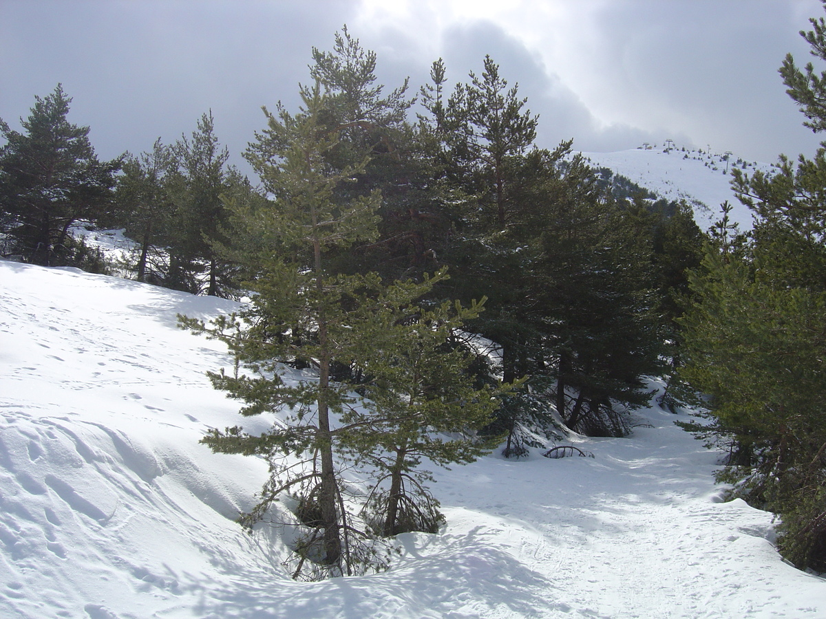 照片 法国(France) 格雷奥利耶(Greolieres) 2006-02 44