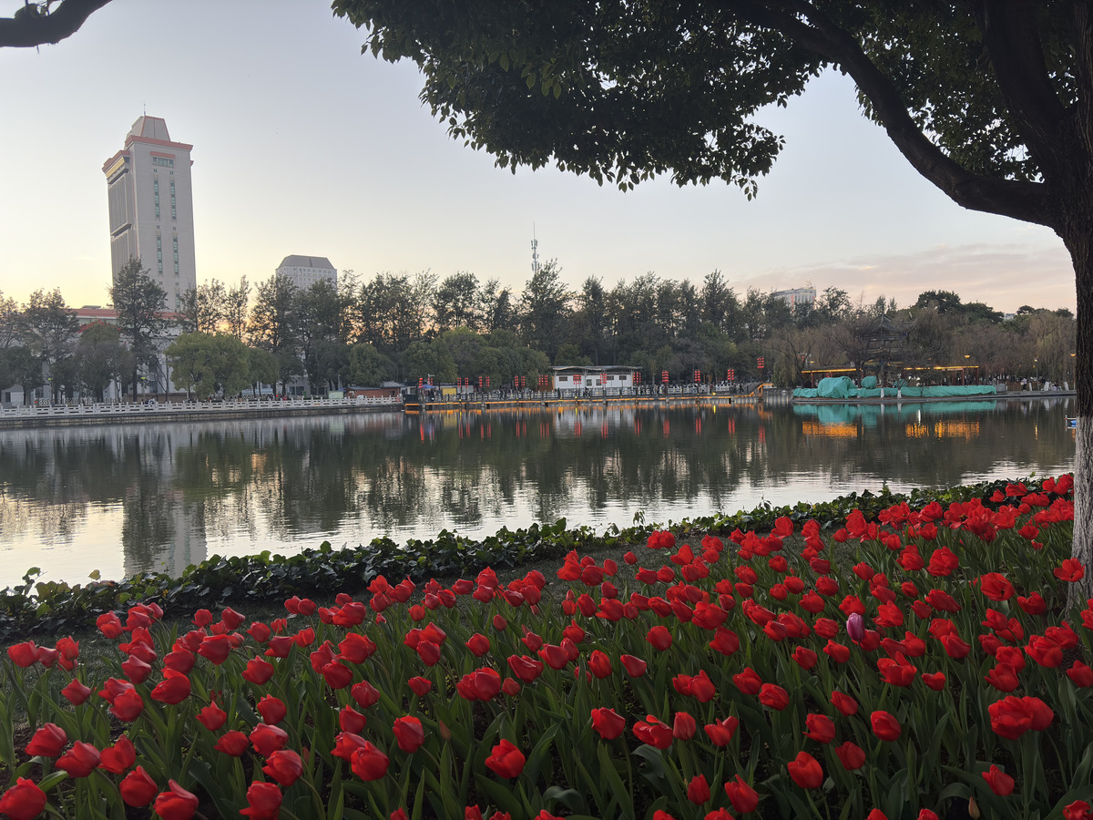 照片 中国(China) 昆明(Kunming) 2026-01 108