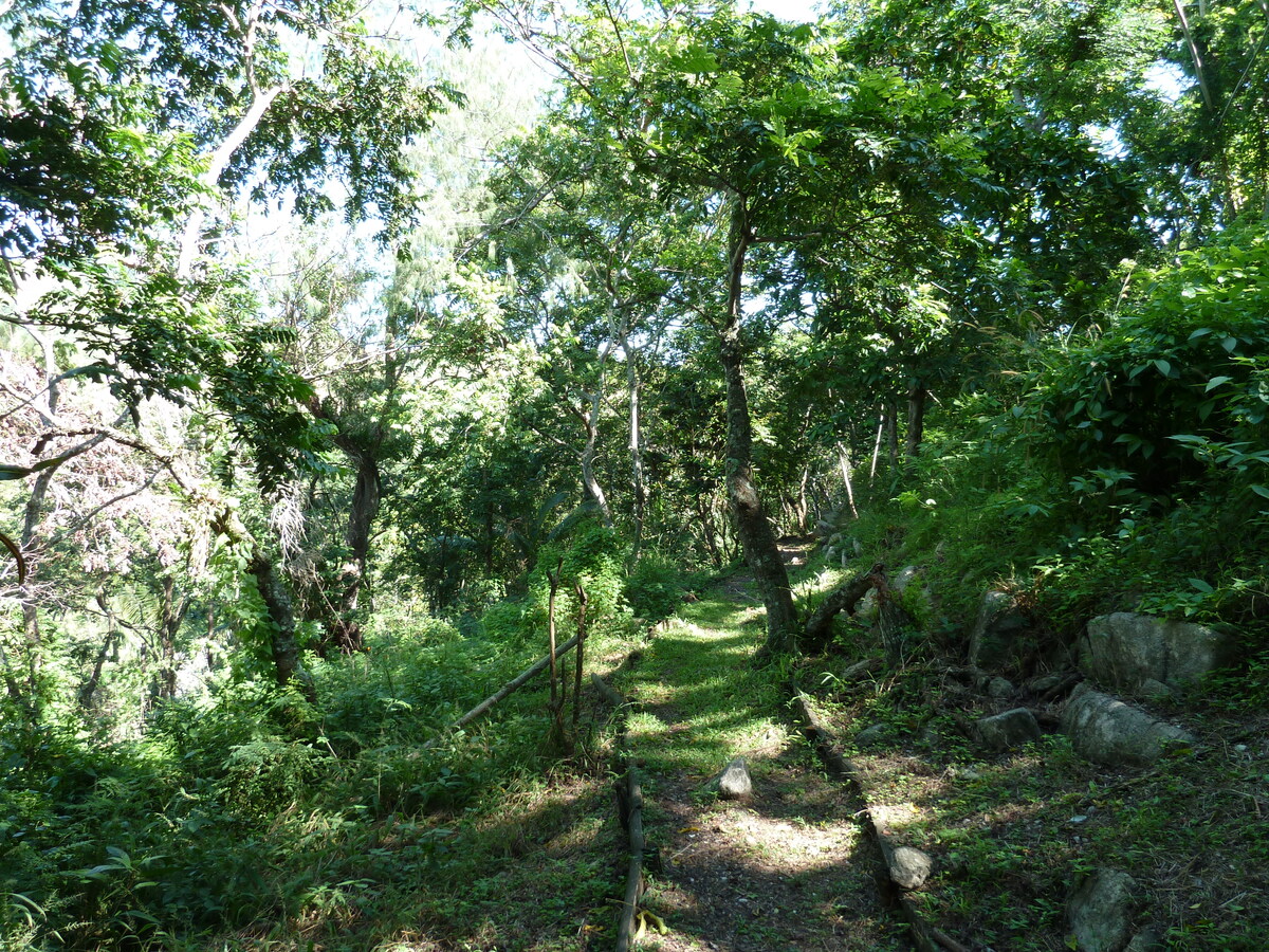 照片 斐济(Fiji) 塔武尼山堡(Tavuni Hill Fort) 2010-05 27