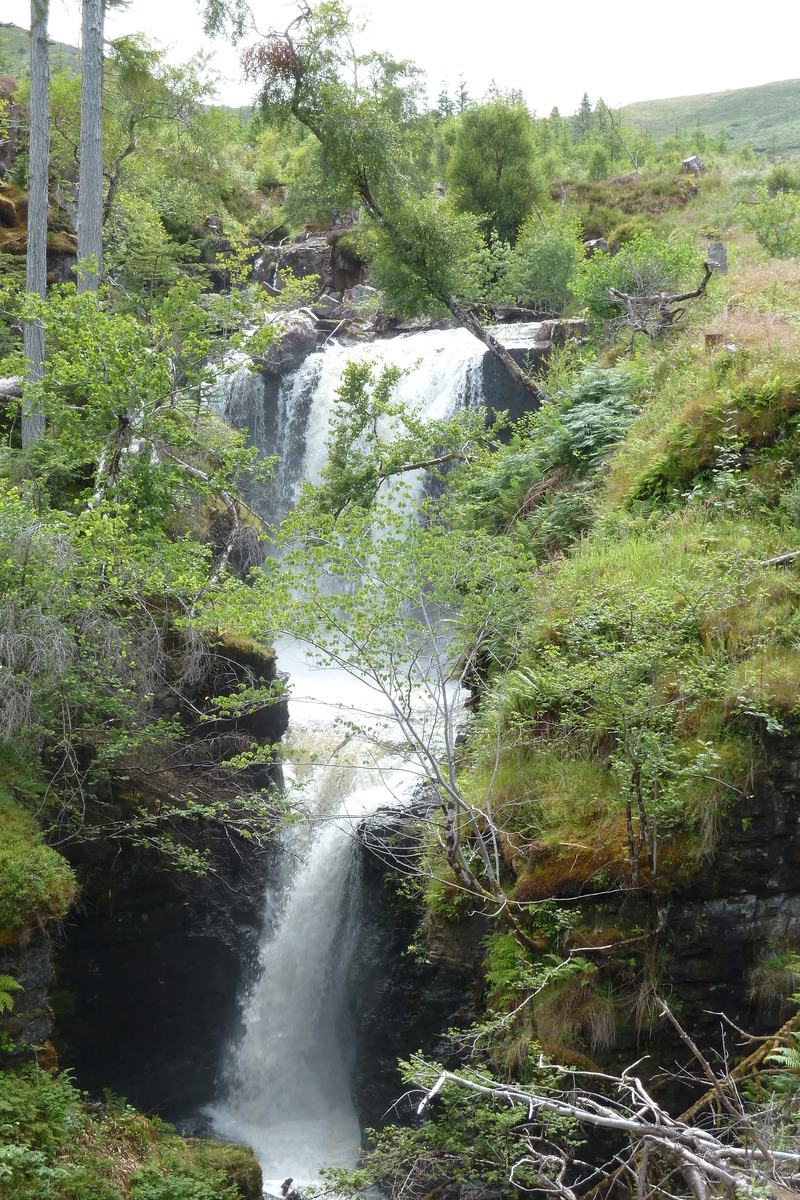 照片 英国(United Kingdom) 苏格兰(Scotland) 马里湖(Loch Maree) 2011-07 9