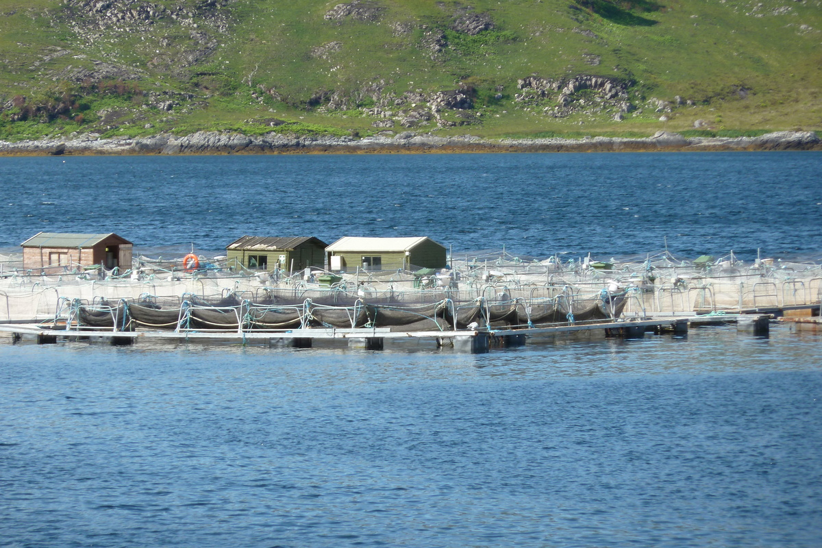 照片 英国(United Kingdom) 苏格兰(Scotland) 萨伦(Salen) 2011-07 89