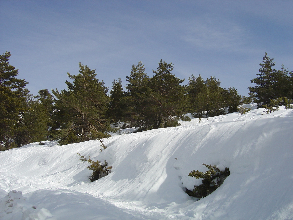 照片 法国(France) 格雷奥利耶(Greolieres) 2006-02 42