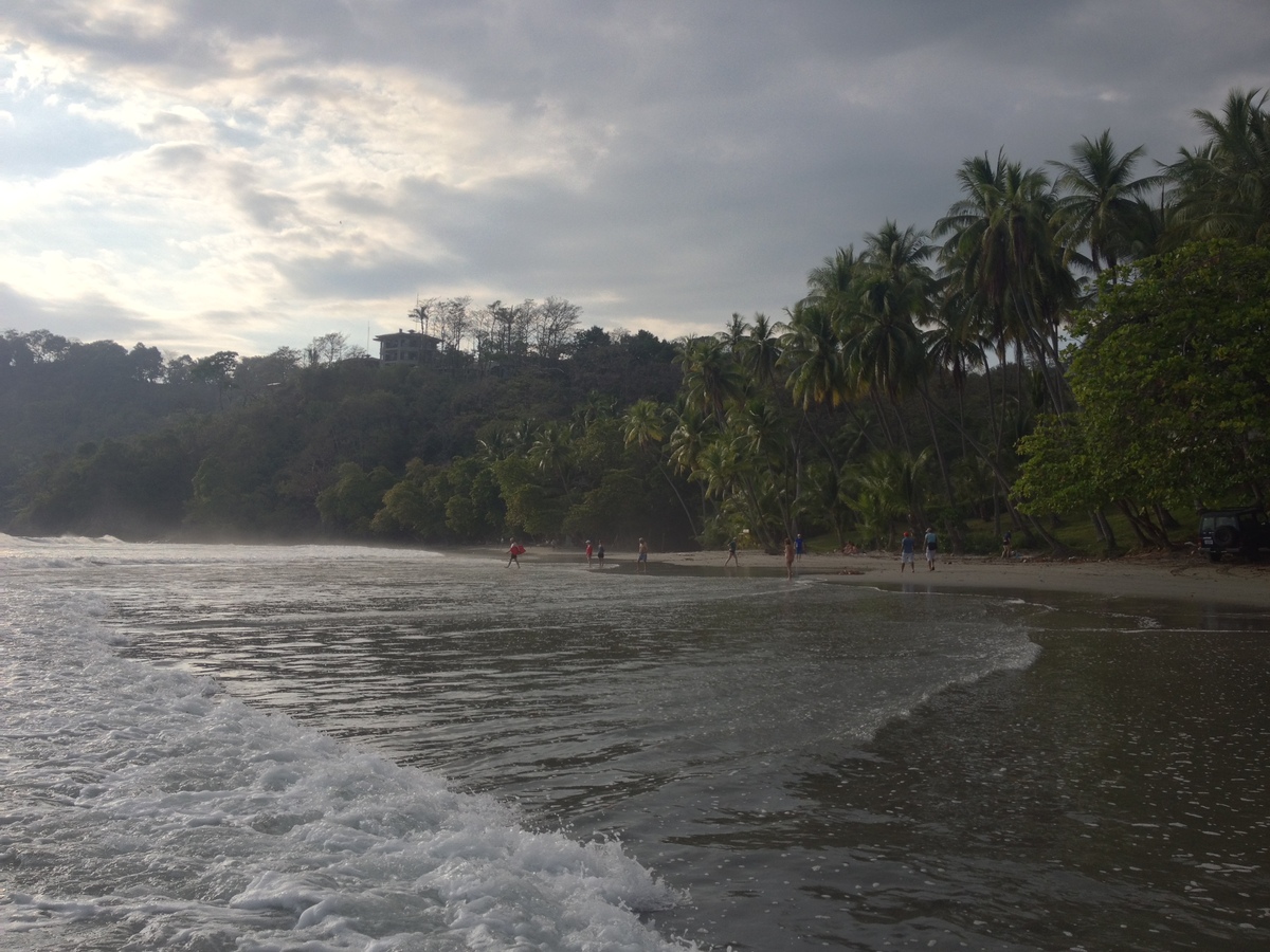 照片 哥斯达黎加(Costa Rica) 曼努埃尔安东尼奥(Manuel Antonio) 2015-03 324