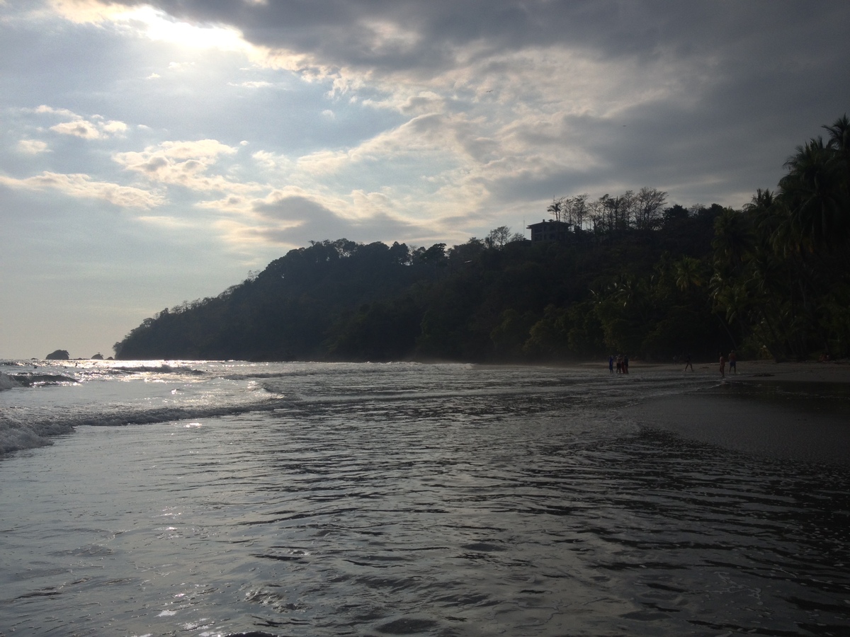 照片 哥斯达黎加(Costa Rica) 曼努埃尔安东尼奥(Manuel Antonio) 2015-03 373
