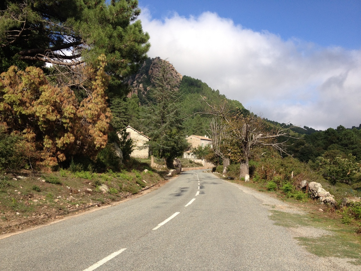 照片 法国(France) 科西嘉岛(Corsica) 巴韦拉(Bavella) 2012-09 34