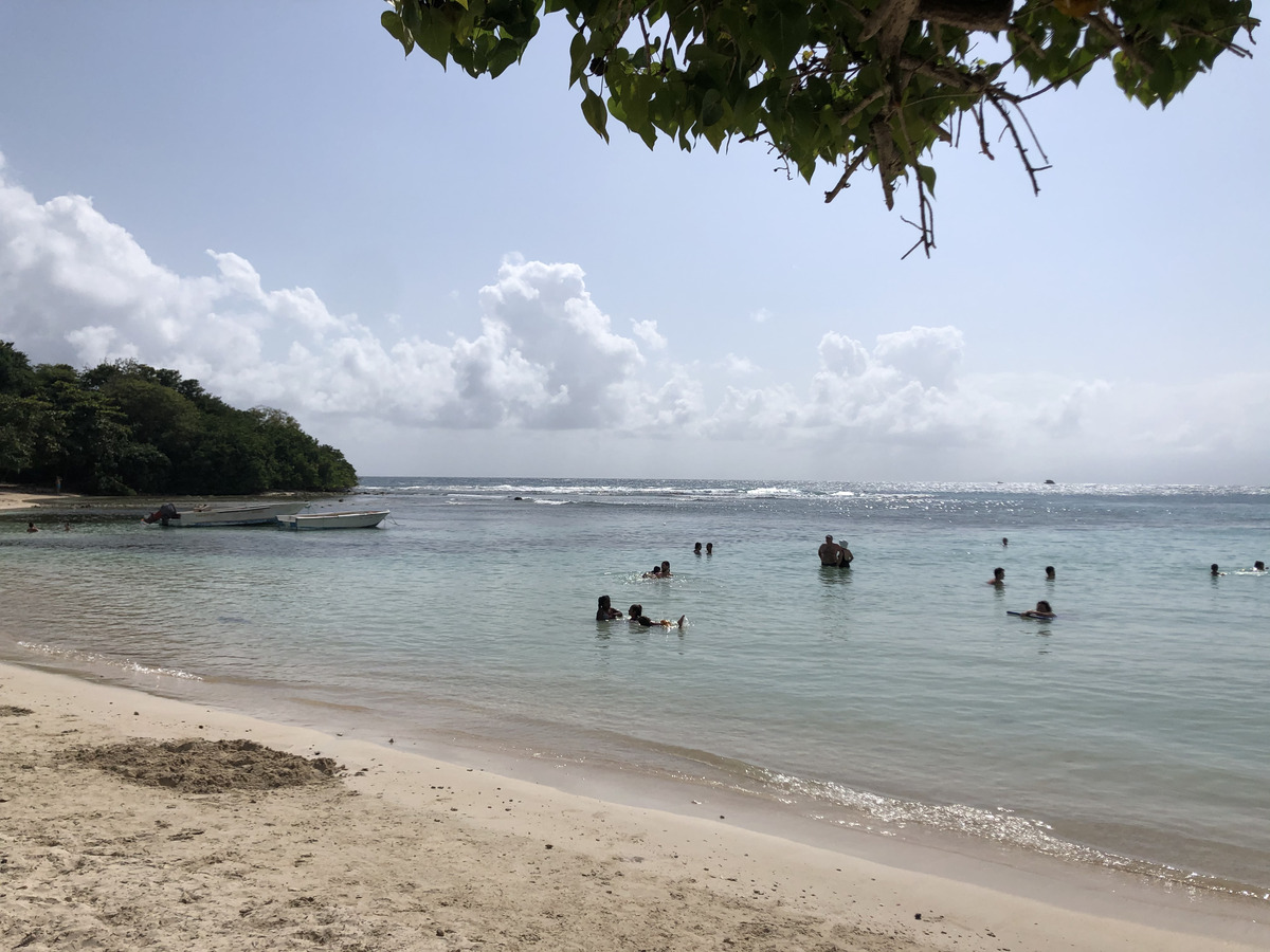 照片 瓜德罗普(Guadeloupe) 小阿弗尔海滩(Petit Havre Beach) 2021-02 4