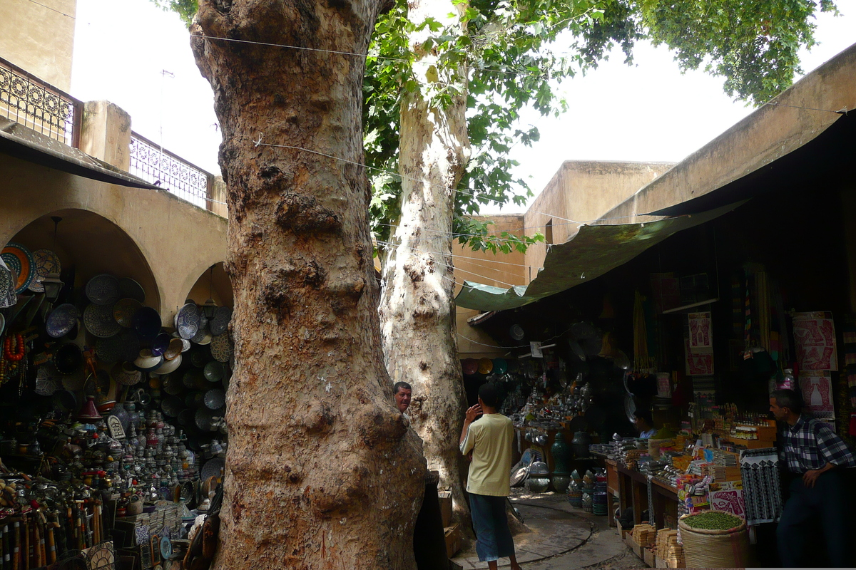 照片 摩洛哥(Morocco) 非斯(Fes) 2008-07 27