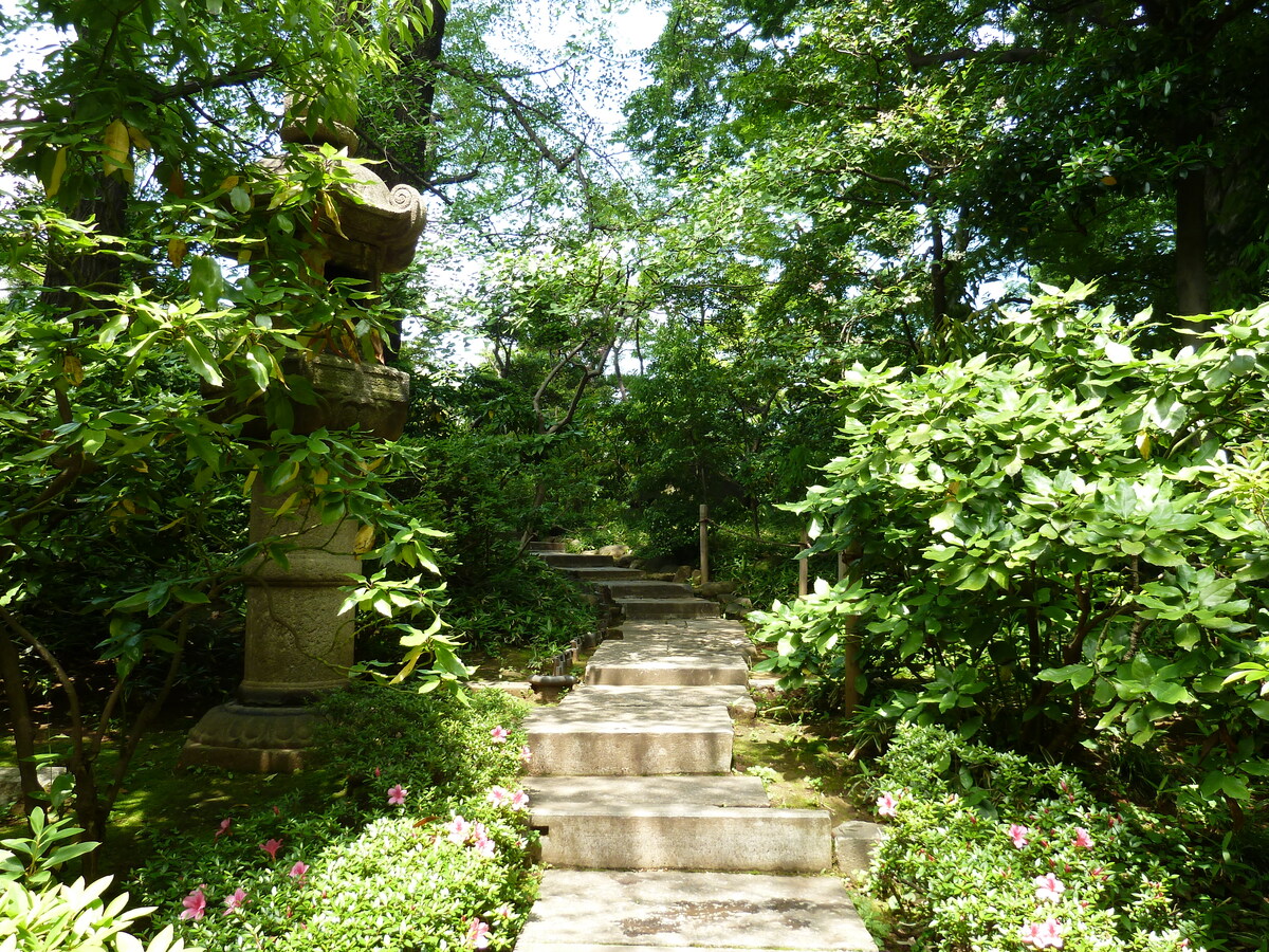 照片 日本(Japan) 东京(Tokyo) 根津美术馆(Nezu Museum) 2010-06 21