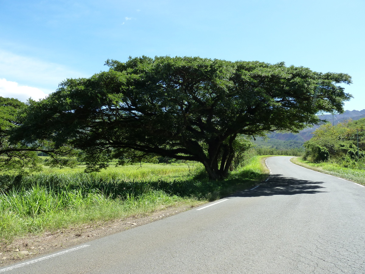 照片 新喀里多尼亚(New Caledonia) 通图塔至蒂奥公路(Tontouta to Thio road) 2010-05 100