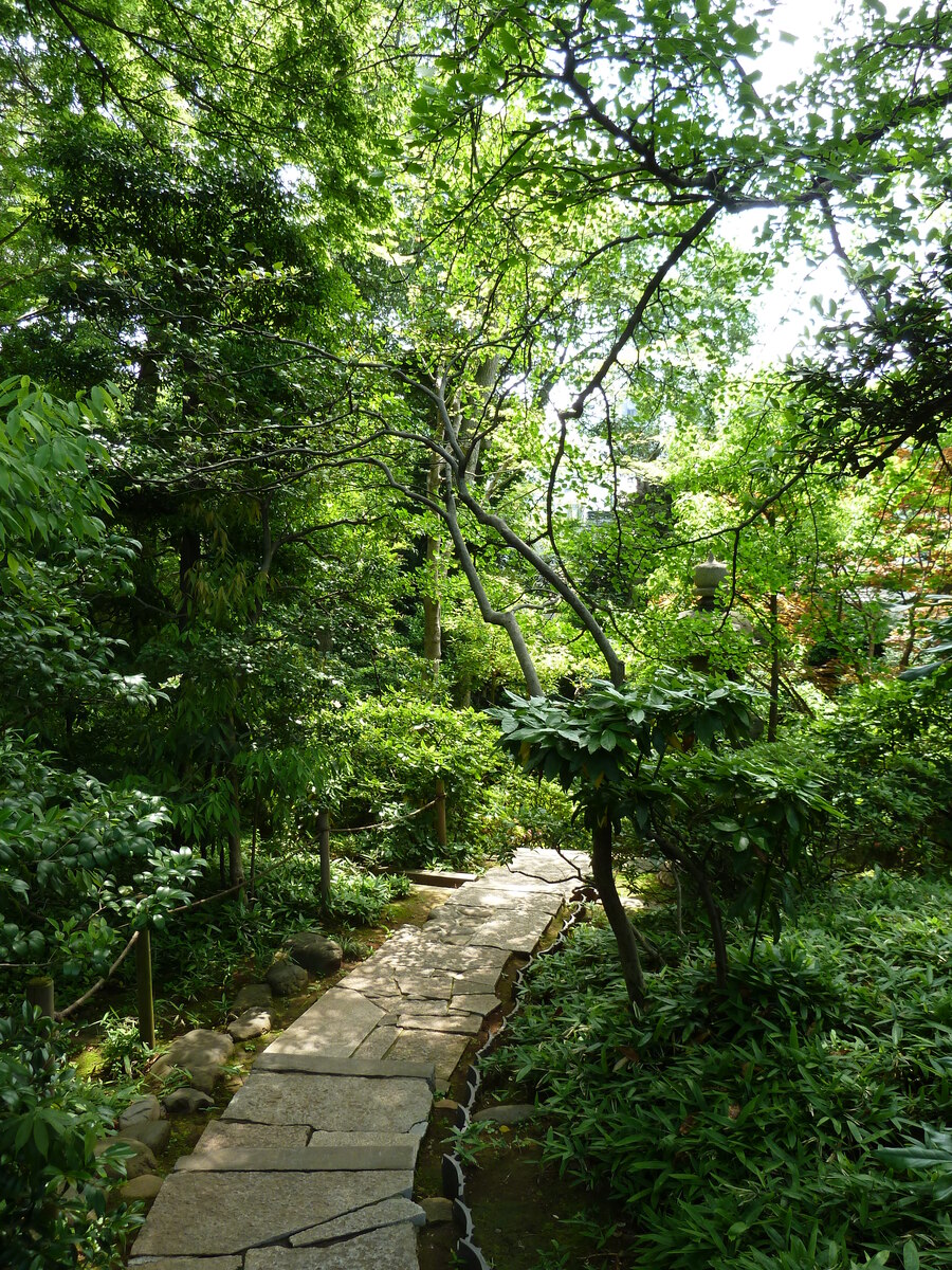照片 日本(Japan) 东京(Tokyo) 根津美术馆(Nezu Museum) 2010-06 17