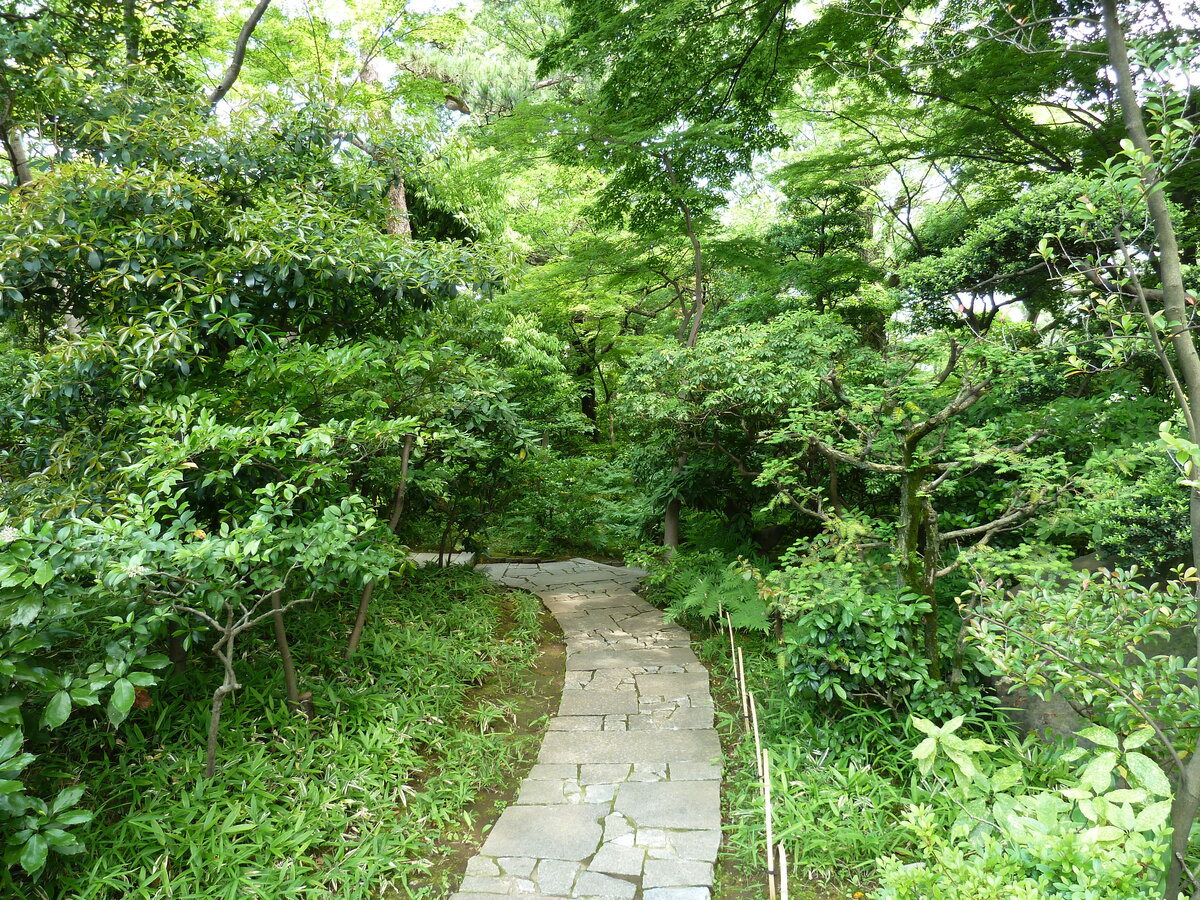 照片 日本(Japan) 东京(Tokyo) 根津美术馆(Nezu Museum) 2010-06 16