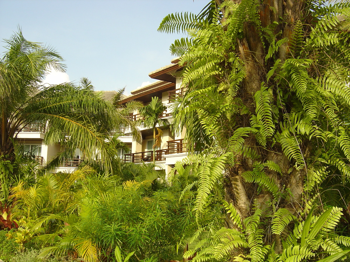 照片 泰国(Thailand) 考拉(Khao Lak) 考拉艾美酒店(Meridien Khao Lak Hotel) 2005-12 286