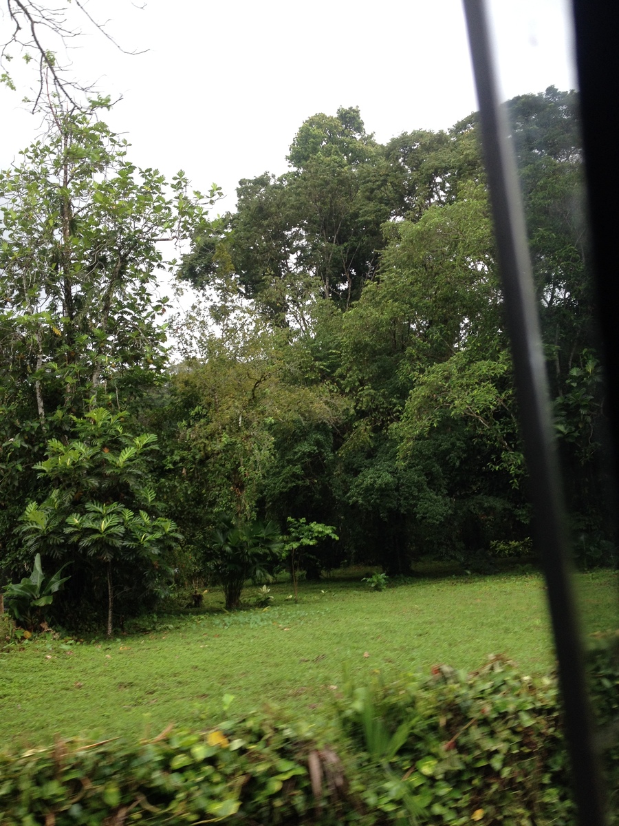 照片 哥斯达黎加(Costa Rica) 塔拉曼卡旧港(Puerto Viejo de Talamanca) 2015-03 57