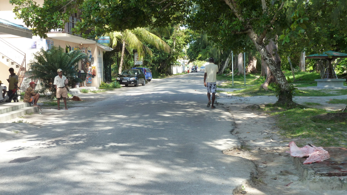 照片 塞舌尔(Seychelles) 普拉兰岛(Praslin) 2011-10 118