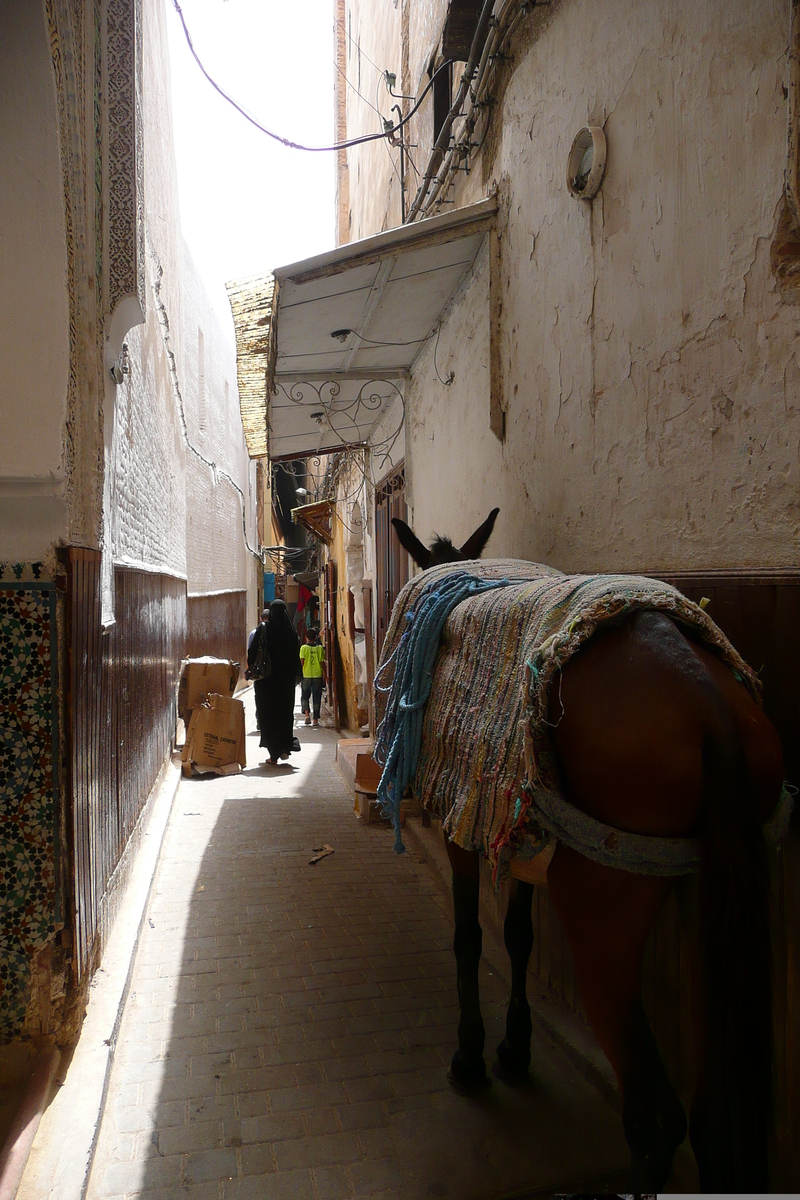 照片 摩洛哥(Morocco) 非斯(Fes) 2008-07 30