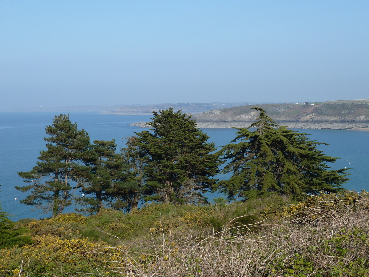 照片 法国(France) 圣库隆(St Coulomb) 2010-04 4