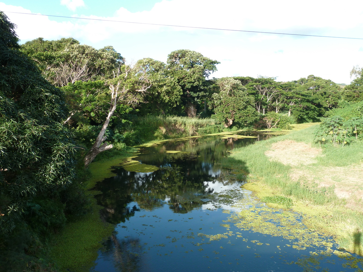 照片 新喀里多尼亚(New Caledonia) 卡纳拉至拉福阿公路(Canala to La Foa road) 2010-05 32