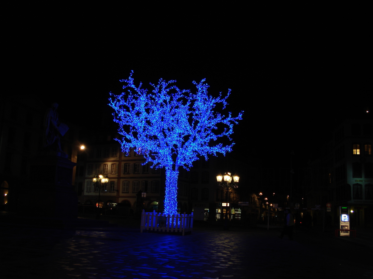 照片 法国(France) 斯特拉斯堡(Strasbourg) 2007-01 164