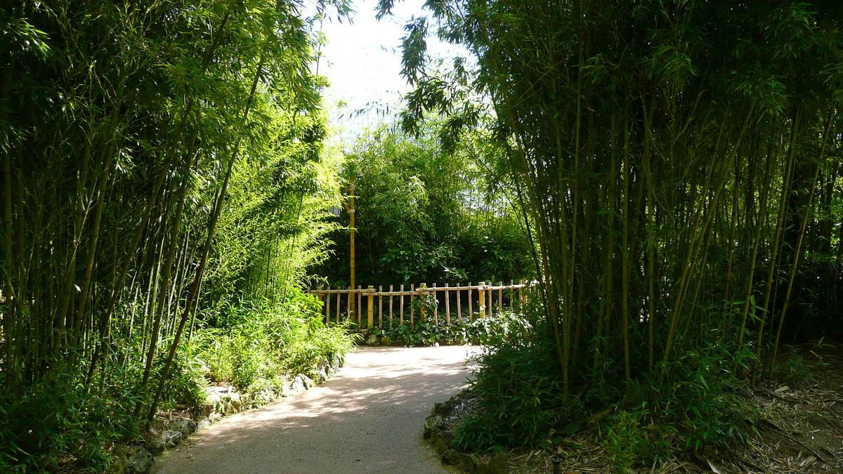 照片 法国(France) 巴黎迪士尼乐园(Disneyland Paris) 探险世界(Adventureland) 2007-07 88