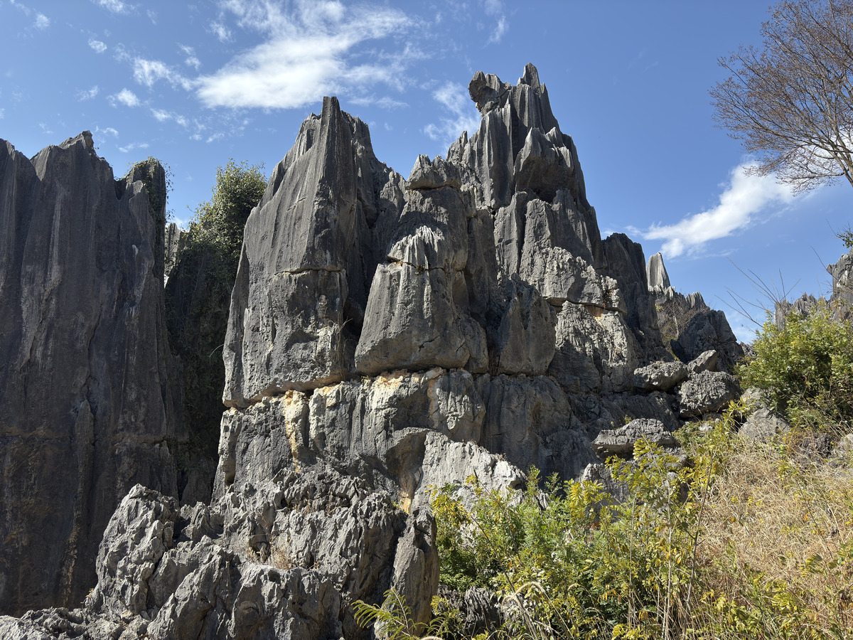 照片 中国(China) 石林(Shilin Stone Forest) 2026-01 143