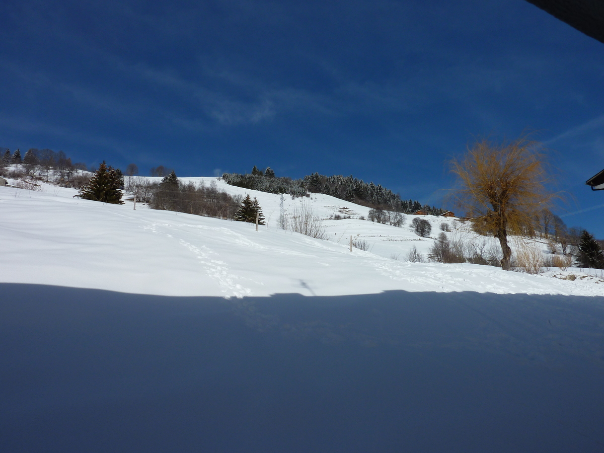 照片 法国(France) 梅杰夫(Megeve) 2010-02 131