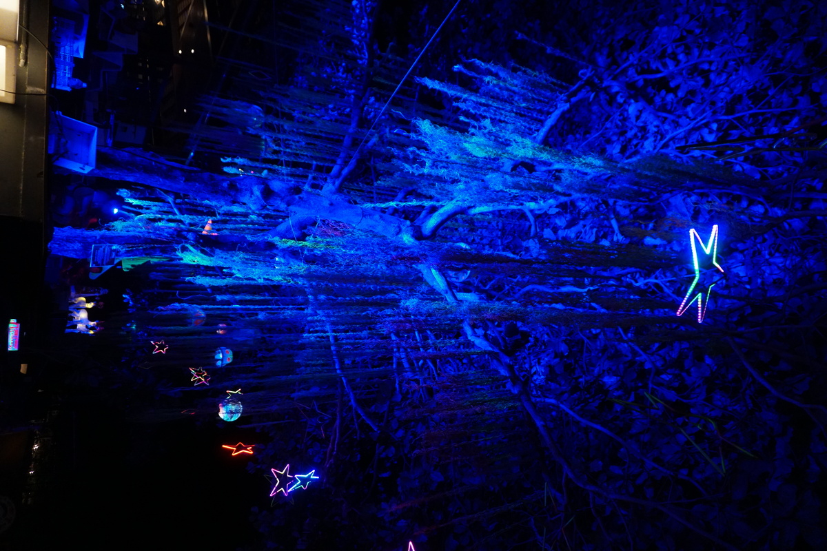 照片 泰国(Thailand) 沙美岛(Ko Samet) 2016-12 47