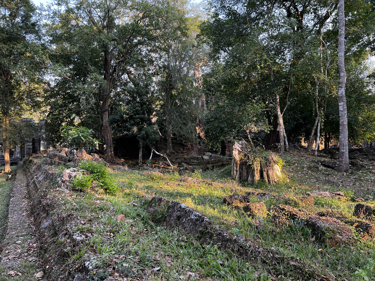 照片 柬埔寨(Cambodia) 暹粒(Siem Reap) 圣剑寺(Preah Khan) 2023-01 8