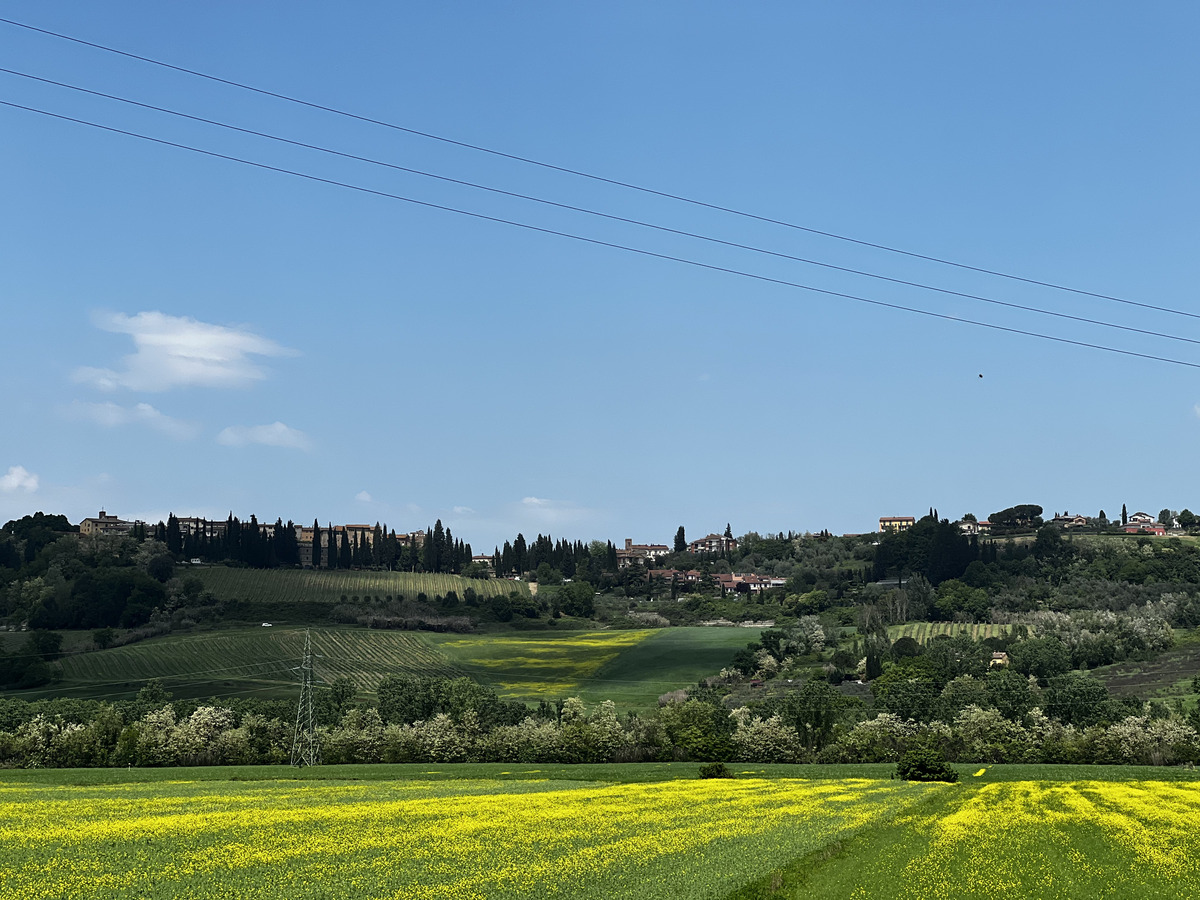 照片 意大利(Italy) 圣吉米尼亚诺(San Gimignano) 2022-05 13