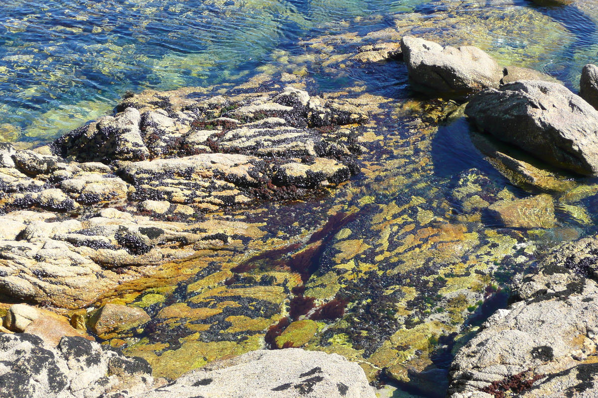 照片 法国(France) 基伯龙半岛(Quiberon peninsula) 2008-07 106