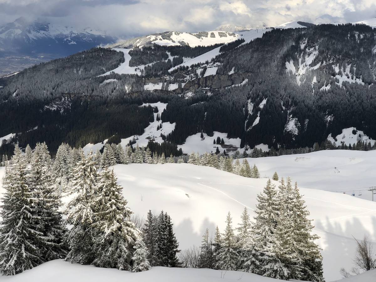 照片 法国(France) 梅杰夫(Megeve) 2019-03 15