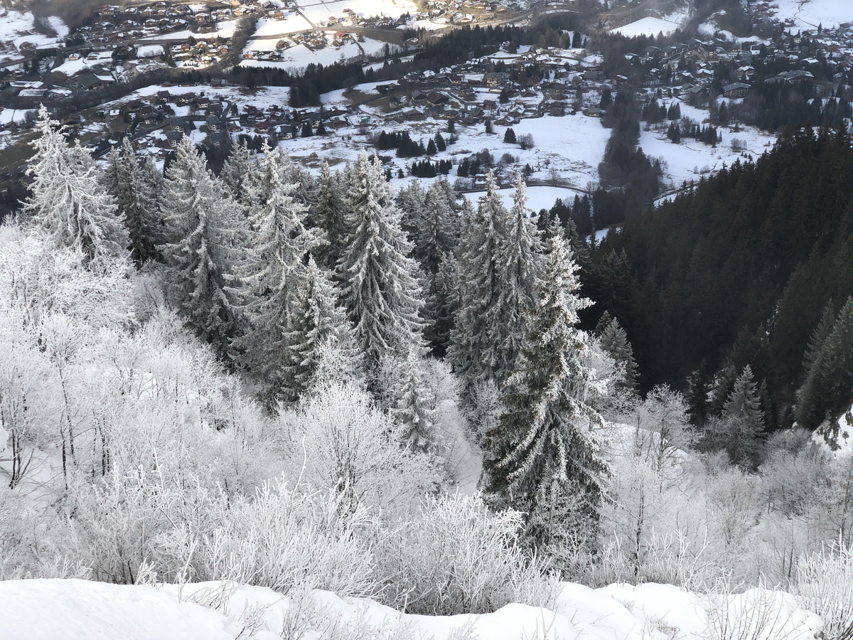 照片 法国(France) 梅杰夫(Megeve) 2018-12 69