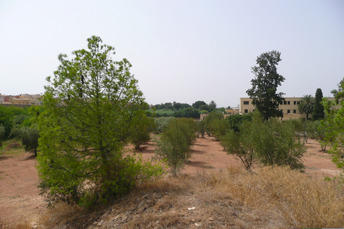 照片 摩洛哥(Morocco) 梅克内斯(Meknes) 2008-07 82
