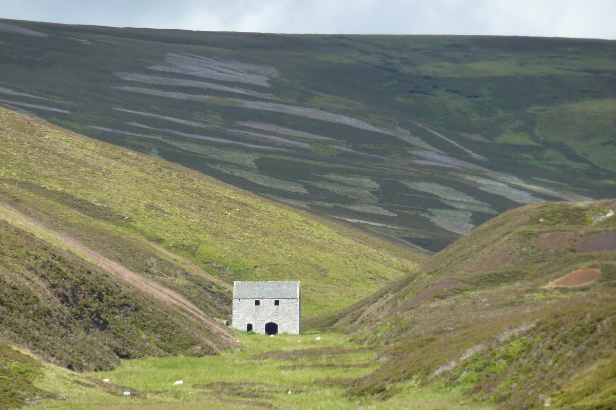 照片 英国(United Kingdom) 凯恩戈姆山国家公园(Cairngorms National Park) 2011-07 38