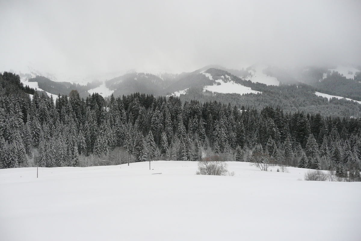 照片 法国(France) 梅杰夫(Megeve) 勒普拉奈(Le Planay) 2010-02 53