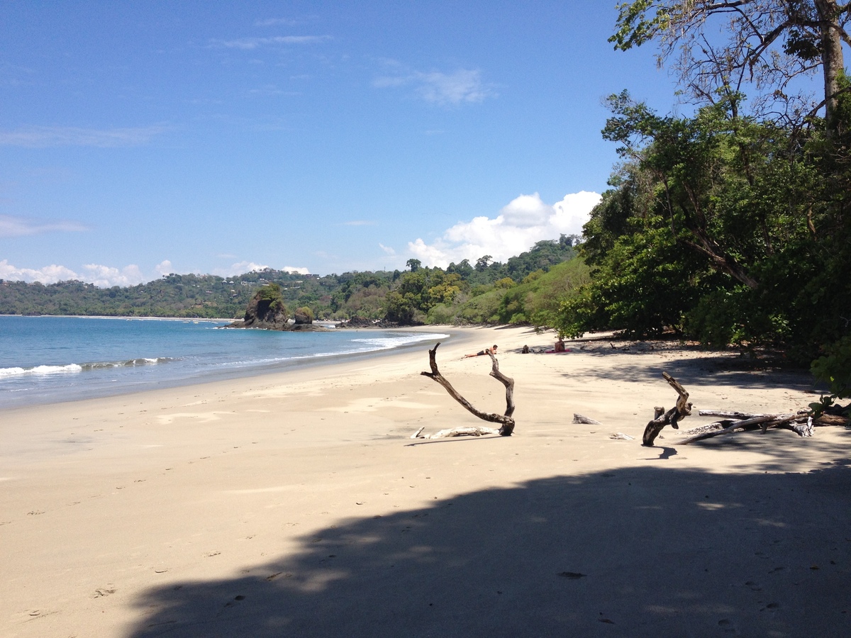 照片 哥斯达黎加(Costa Rica) 曼努埃尔安东尼奥(Manuel Antonio) 2015-03 368